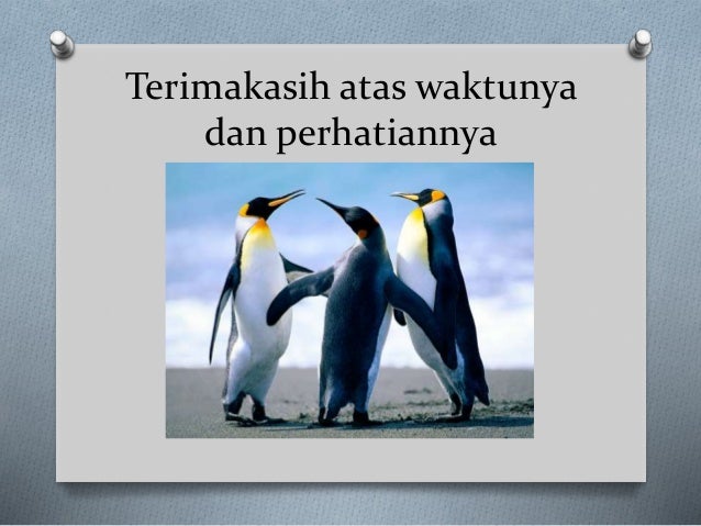 Kata Kata Terima Kasih Atas Waktunya