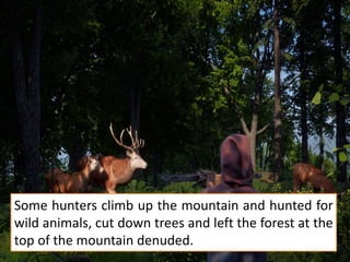 Some hunters climb up the mountain and hunted for
wild animals, cut down trees and left the forest at the
top of the mountain denuded.
 
