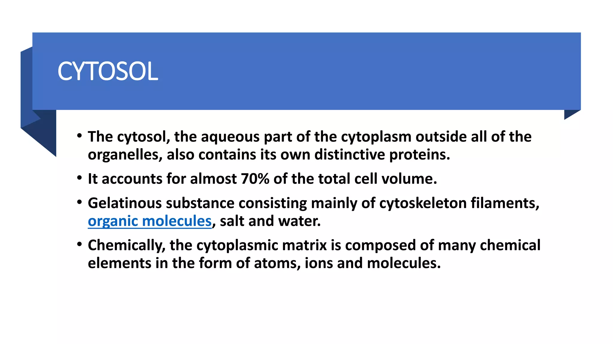 CYTOSOL
• The cytosol, the aqueous part of the cytoplasm outside all of the
organelles, also contains its own distinctive proteins.
• It accounts for almost 70% of the total cell volume.
• Gelatinous substance consisting mainly of cytoskeleton filaments,
organic molecules, salt and water.
• Chemically, the cytoplasmic matrix is composed of many chemical
elements in the form of atoms, ions and molecules.
 