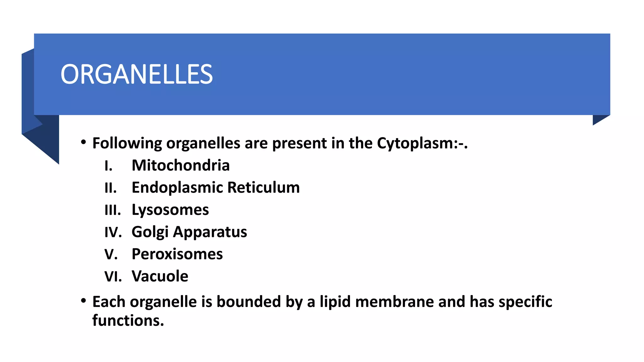 • Following organelles are present in the Cytoplasm:-.
I. Mitochondria
II. Endoplasmic Reticulum
III. Lysosomes
IV. Golgi Apparatus
V. Peroxisomes
VI. Vacuole
• Each organelle is bounded by a lipid membrane and has specific
functions.
ORGANELLES
 