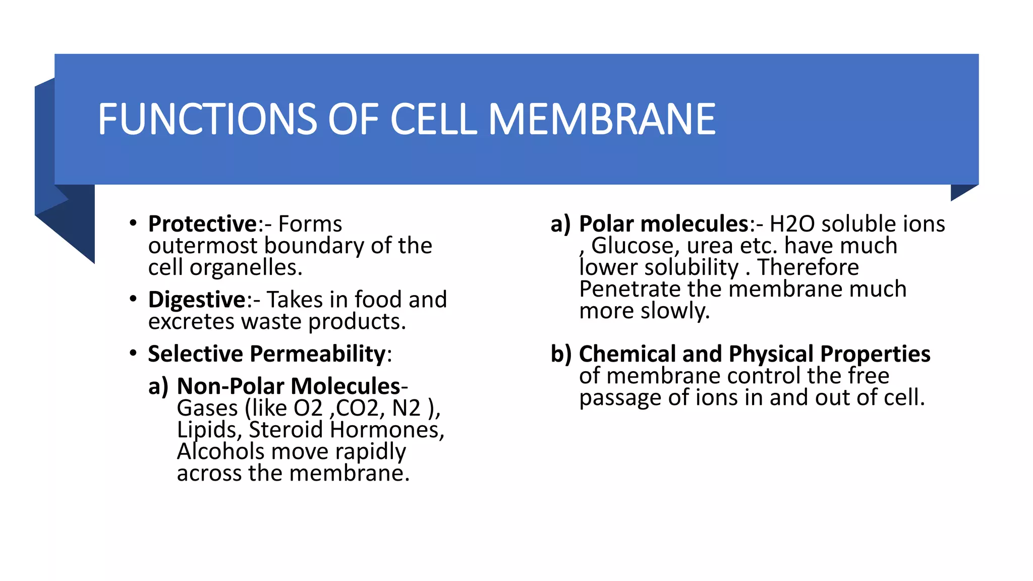FUNCTIONS OF CELL MEMBRANE
• Protective:- Forms
outermost boundary of the
cell organelles.
• Digestive:- Takes in food and
excretes waste products.
• Selective Permeability:
a) Non-Polar Molecules-
Gases (like O2 ,CO2, N2 ),
Lipids, Steroid Hormones,
Alcohols move rapidly
across the membrane.
a) Polar molecules:- H2O soluble ions
, Glucose, urea etc. have much
lower solubility . Therefore
Penetrate the membrane much
more slowly.
b) Chemical and Physical Properties
of membrane control the free
passage of ions in and out of cell.
 