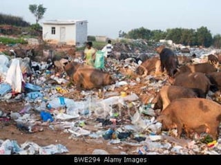 CHILD LABOUR IN INDIA