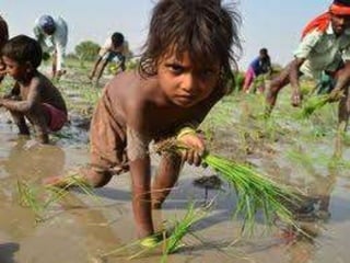 CHILD LABOUR IN INDIA
