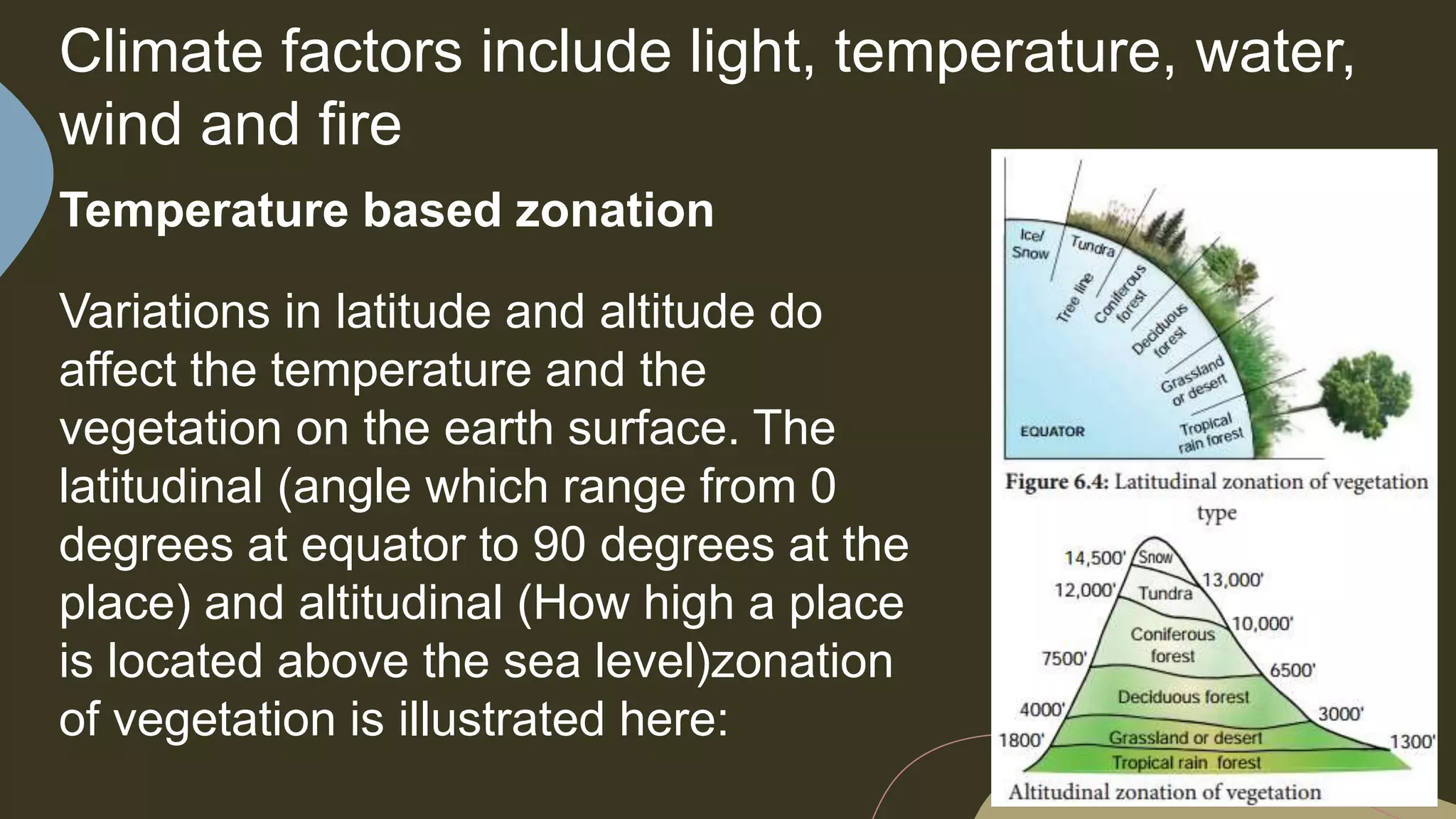 PPT FOR TROPICAL ECOLOGY.pptx