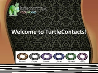 Welcome to TurtleContacts! 
 