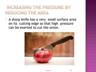  A sharp knife has a very small surface area
on its cutting edge so that high pressure
can be exerted to cut the onion.
Pressure 23
 