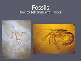 Fossils
How to tell time with rocks
 
