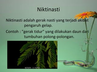 Niktinasti
Niktinasti adalah gerak nasti yang terjadi akibat
pengaruh gelap.
Contoh : "gerak tidur" yang dilakukan daun dari
tumbuhan polong-polongan.
 