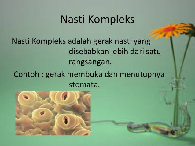 gerak pada tumbuhan