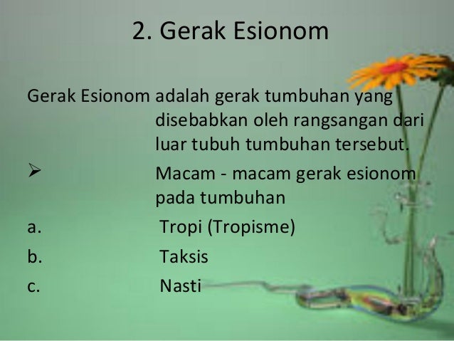 Gerak pada tumbuhan