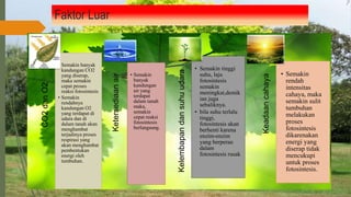 Faktor Luar
CO2
dan
O2
• Semakin banyak
kandungan CO2
yang diserap,
maka semakin
cepat proses
reaksi fotosintesis
• Semakin
rendahnya
kandungan O2
yang terdapat di
udara dan di
dalam tanah akan
menghambat
terjadinya proses
respirasi yang
akan menghambat
pembentukan
energi oleh
tumbuhan.
Ketersediaan
air
• Semakin
banyak
kandungan
air yang
terdapat
dalam tanah
maka,
semakin
cepat reaksi
fotosintesis
berlangsung.
Kelembapan
dan
suhu
udara
• Semakin tinggi
suhu, laju
fotosintesis
semakin
meningkat,demik
ian juga
sebaliknya.
• bila suhu terlalu
tinggi,
fotosintesis akan
berhenti karena
enzim-enzim
yang berperan
dalam
fotosintesis rusak
Keadaan
cahaya
• Semakin
rendah
intensitas
cahaya, maka
semakin sulit
tumbuhan
melakukan
proses
fotosintesis
dikarenakan
energi yang
diserap tidak
mencukupi
untuk proses
fotosintesis.
 