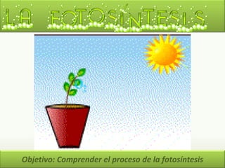 Objetivo: Comprender el proceso de la fotosíntesis
 