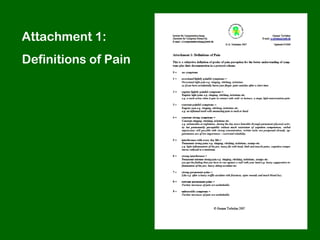 Attachment 1:
Definitions of Pain
 