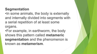Metameric Body PPT FULL DIVERSITY IN THE LIVING ORGANISMS.pptx