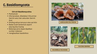 PPT Kingdom ......................Fungi.pdf