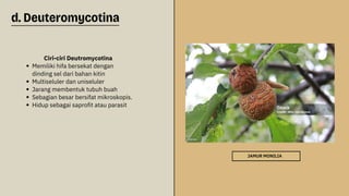Jamur Multiseluler PPT Kingdom ......................Fungi.pdf