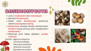 Jamur Multiseluler PPT Fungi_Fase E_SMAN 21 Jakarta Timur.pdf