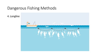 PPT G8Q1W3.pptx fishing gears and bait methods | PPTX