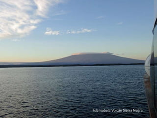 Isla Isabela Volcán Sierra Negra
 