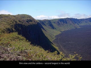 Rim view and the caldera – second largest in the world
 