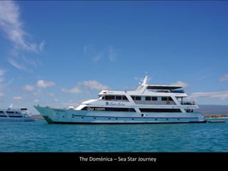 Our room
The Doménica – Sea Star Journey
 