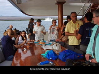 Refreshments after mangrove excursion
 