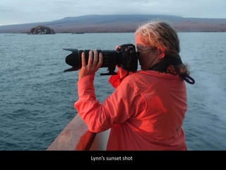 Lynn’s sunset shot
 