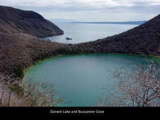 Darwin Lake and Buccaneer Cove
 