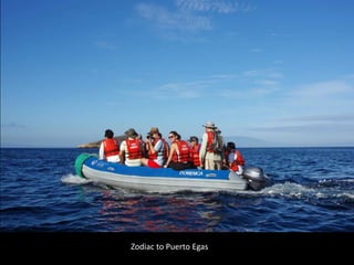 Zodiac to Puerto Egas
 