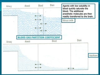 BLOOD GAS PARTITION COEFFICIENT
Agents with low solubility in
blood quickly saturate the
blood. The additional
anesthetic molecules are then
readily transferred to the brain.
 
