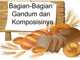 Poder Gandum Power Point Karakteristik Gandum | PPTX