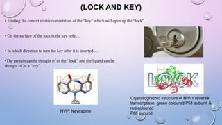 (LOCK AND KEY)
• Finding the correct relative orientation of the “key” which will open up the “lock”.
• On the surface of the lock is the key hole…
• In which direction to turn the key after it is inserted …
•The protein can be thought of as the “lock” and the ligand can be
thought of as a “key”.
NVP: Nevirapine
Crystallographic structure of HIV-1 reverse
transcriptase: green coloured P51 subunit &
red coloured
P66 subunit
 