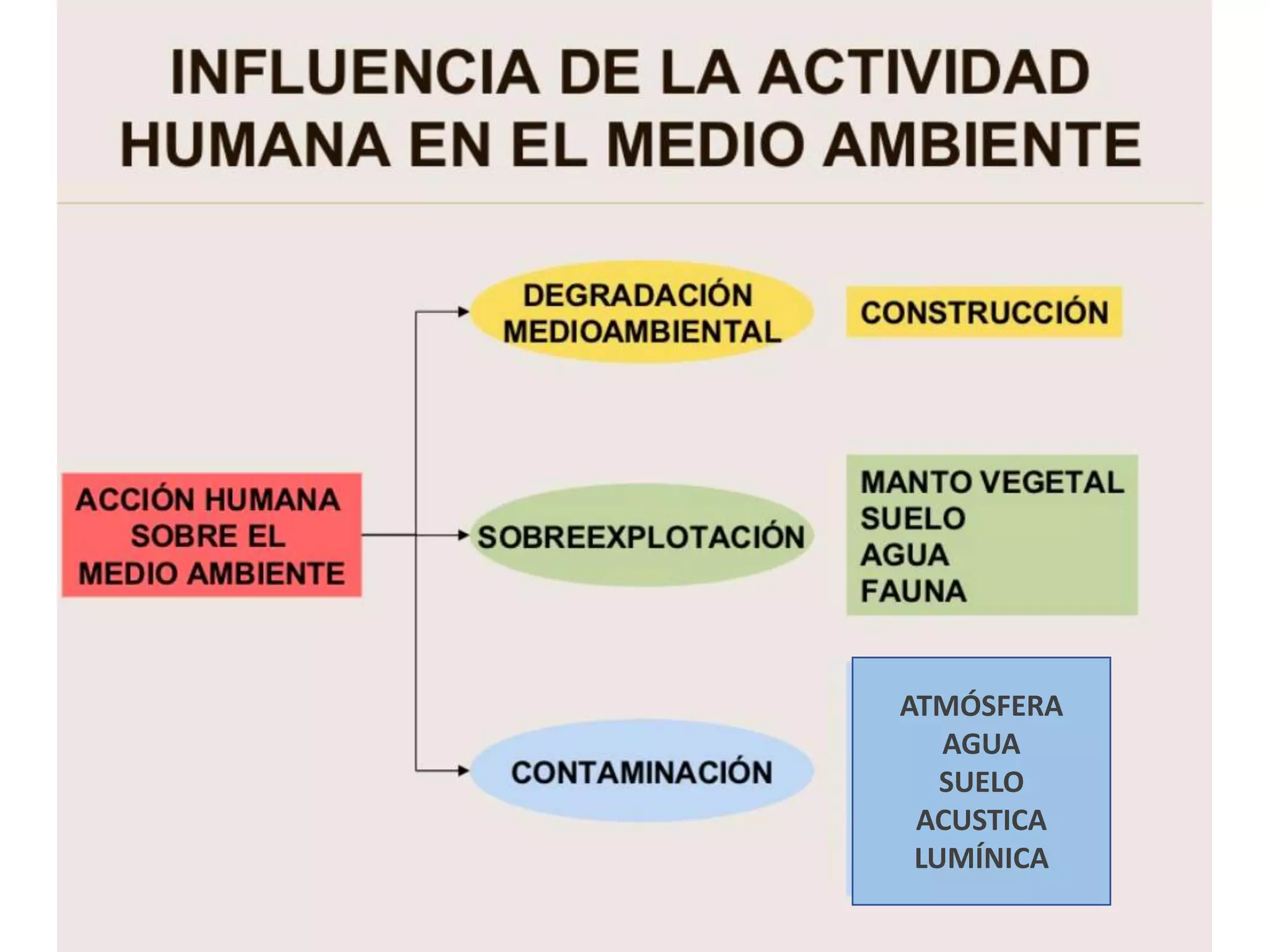 TEMA 5. Degradación del medio ambiente | PPT