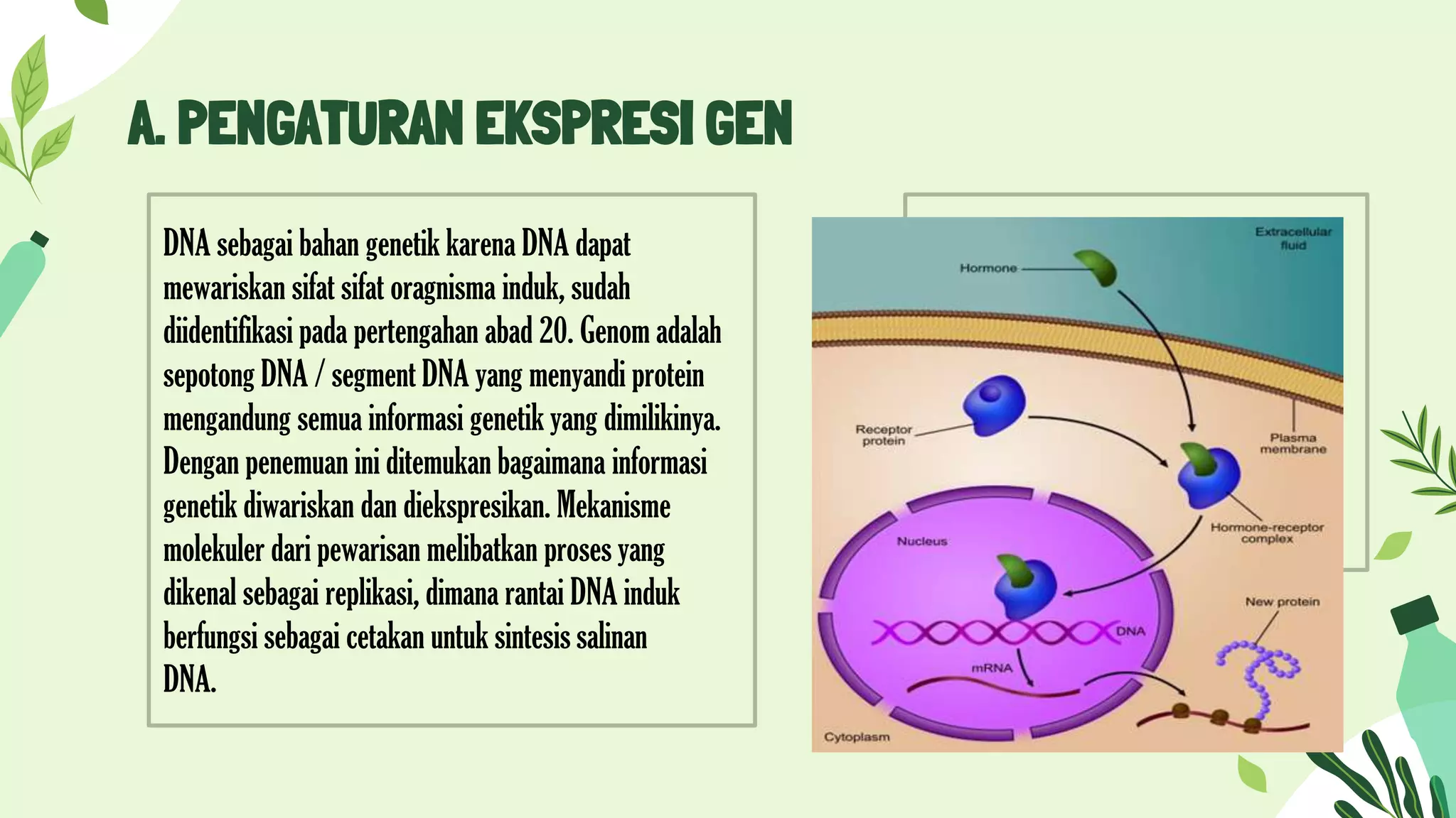 Ppt genetika pengaturan ekspresi gen dan perkembangan gen | PPTX