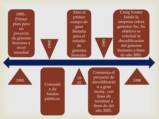 Abre el                     Craig Venter
   1985.-
                          primer                        funda la
  Primer
                         campo de                   empresa celera
 plan para
                           gran                     genomic Inc. Su
    un
                          Bretaña                      objetivo es
 proyecto
                          para el                      concluir la
de genoma
                          estudio                    decodificación




                                         1995
              1990
humano a
                             de                       del genoma
   nivel
                          genoma                    humano a fines
 mundial
                         humano.                      de año 2001.



                                    Comienza el
                            19       proyecto de
  1985                              decodificació           1998
             Concesió       93
                                        n a gran
               n de
                                     escala , con
              fondos
                                        fines de
             públicos.
                                      terminar a
                                     fines de del
                                       año 2005.
 