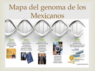Mapa del genoma de los
     Mexicanos
          
 