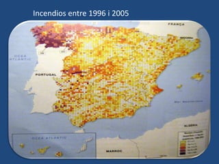 Incendios entre 1996 i 2005
 