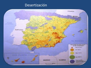 Desertización
 