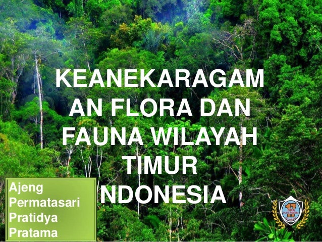 Download 85 Koleksi Gambar Flora Indonesia Timur Terbaru Gratis