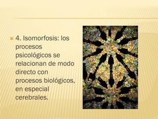  4. Isomorfosis: los
procesos
psicológicos se
relacionan de modo
directo con
procesos biológicos,
en especial
cerebrales.
 
