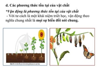 d. Các phương thức tồn tại của vật chất
*Vận động là phương thức tồn tại của vật chất
- Với tư cách là một khái niệm triết học, vận động theo
nghĩa chung nhất là mọi sự biến đổi nói chung.
 