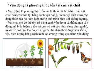*Vận động là phương thức tồn tại của vật chất
- Vận động là phương thức tồn tại, là thuộc tính cố hữu của vật
chất. Vật chất tồn tại bằng cách vận động, tức là vật chất dưới các
dạng thức của nó luôn luôn trong quá trình biến đổi không ngừng.
- Vật chất chỉ có thể tồn tại bằng cách vận động và thông qua vận
động mà biểu hiện sự tồn tại của nó với các hình dạng phong phú,
muôn vẻ, vô tận. Do đó, con người chỉ nhận thức được sâu sắc sự
vật, hiện tượng bằng cách xem xét chúng trong quá trình vận động.
 