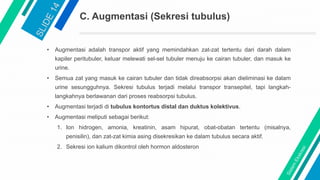 C. Augmentasi (Sekresi tubulus)
• Augmentasi adalah transpor aktif yang memindahkan zat-zat tertentu dari darah dalam
kapiler peritubuler, keluar melewati sel-sel tubuler menuju ke cairan tubuler, dan masuk ke
urine.
• Semua zat yang masuk ke cairan tubuler dan tidak direabsorpsi akan dieliminasi ke dalam
urine sesungguhnya. Sekresi tubulus terjadi melalui transpor transepitel, tapi langkah-
langkahnya berlawanan dari proses reabsorpsi tubulus.
• Augmentasi terjadi di tubulus kontortus distal dan duktus kolektivus.
• Augmentasi meliputi sebagai berikut:
1. Ion hidrogen, amonia, kreatinin, asam hipurat, obat-obatan tertentu (misalnya,
penisilin), dan zat-zat kimia asing disekresikan ke dalam tubulus secara aktif.
2. Sekresi ion kalium dikontrol oleh hormon aldosteron
 