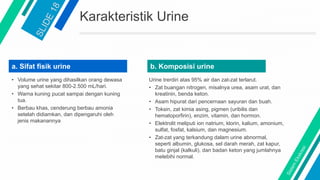 a. Sifat fisik urine
Karakteristik Urine
• Volume urine yang dihasilkan orang dewasa
yang sehat sekitar 800-2.500 mL/hari.
• Warna kuning pucat sampai dengan kuning
tua.
• Berbau khas, cenderung berbau amonia
setelah didiamkan, dan dipengaruhi oleh
jenis makanannya
b. Komposisi urine
Urine trerdiri atas 95% air dan zat-zat terlarut.
• Zat buangan nitrogen, misalnya urea, asam urat, dan
kreatinin, benda keton.
• Asam hipurat dari pencernaan sayuran dan buah.
• Toksin, zat kimia asing, pigmen (uribilis dan
hematoporfirin), enzim, vitamin, dan hormon.
• Elektrolit meliputi ion natrium, klorin, kalium, amonium,
sulfat, fosfat, kalsium, dan magnesium.
• Zat-zat yang terkandung dalam urine abnormal,
seperti albumin, glukosa, sel darah merah, zat kapur,
batu ginjal (kalkuli), dan badan keton yang jumlahnya
melebihi normal.
 