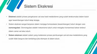 Sistem Ekskresi
• Ekskresi adalah proses pengeluaran zat sisa hasil metabolisme yang sudah terakumulasi dalam tubuh
agar keseimbangan tubuh tetap terjaga.
• Sistem ekskresi sangat berperan dalam menjaga homeostasis (keseimbangan) tubuh dengan cara
osmoregulasi. Osmoregulasi adalah mekanisme tubuh untuk mengatur konsentrasi bahan terlarut
dalam cairan sel atau tubuh.
• Sistem ekskresi adalah sistem yang melakukan proses pembuangan zat-zat sisa metabolisme yang
sudah tidak berguna dan berbahaya jika disimpan di dalam tubuh.
 