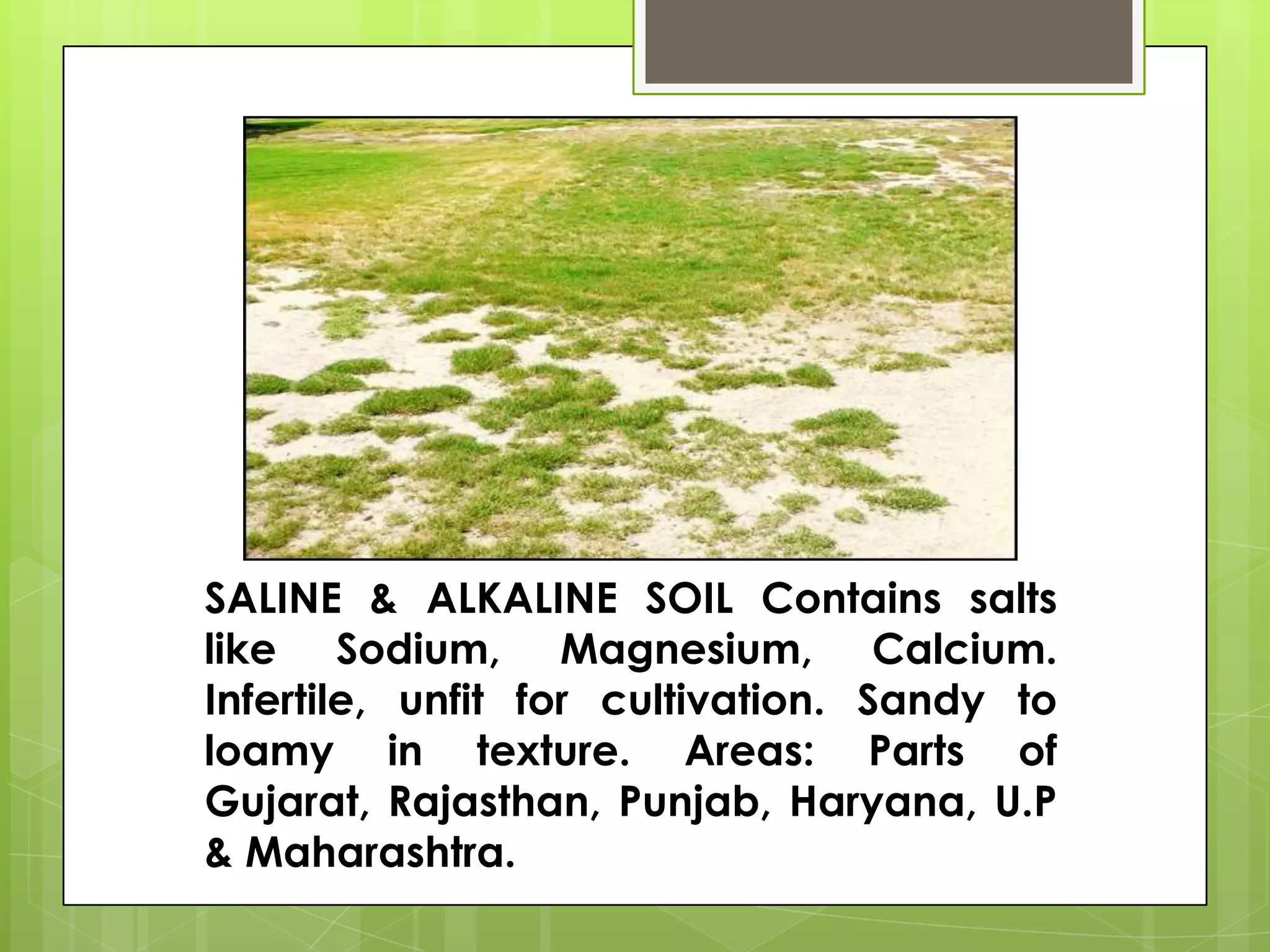 SALINE & ALKALINE SOIL Contains salts
like Sodium, Magnesium, Calcium.
Infertile, unfit for cultivation. Sandy to
loamy in texture. Areas: Parts of
Gujarat, Rajasthan, Punjab, Haryana, U.P
& Maharashtra.
 