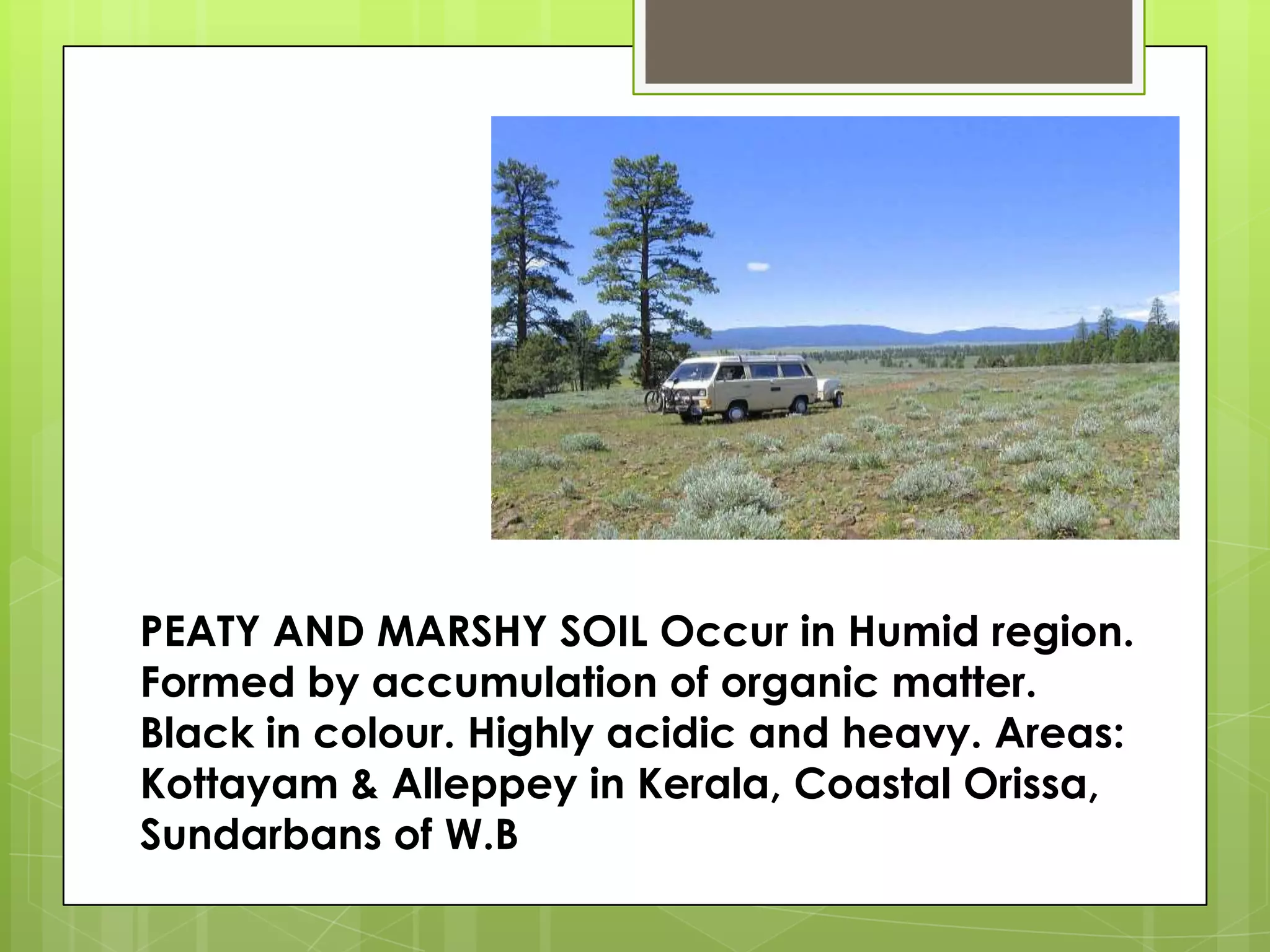 PEATY AND MARSHY SOIL Occur in Humid region.
Formed by accumulation of organic matter.
Black in colour. Highly acidic and heavy. Areas:
Kottayam & Alleppey in Kerala, Coastal Orissa,
Sundarbans of W.B
 