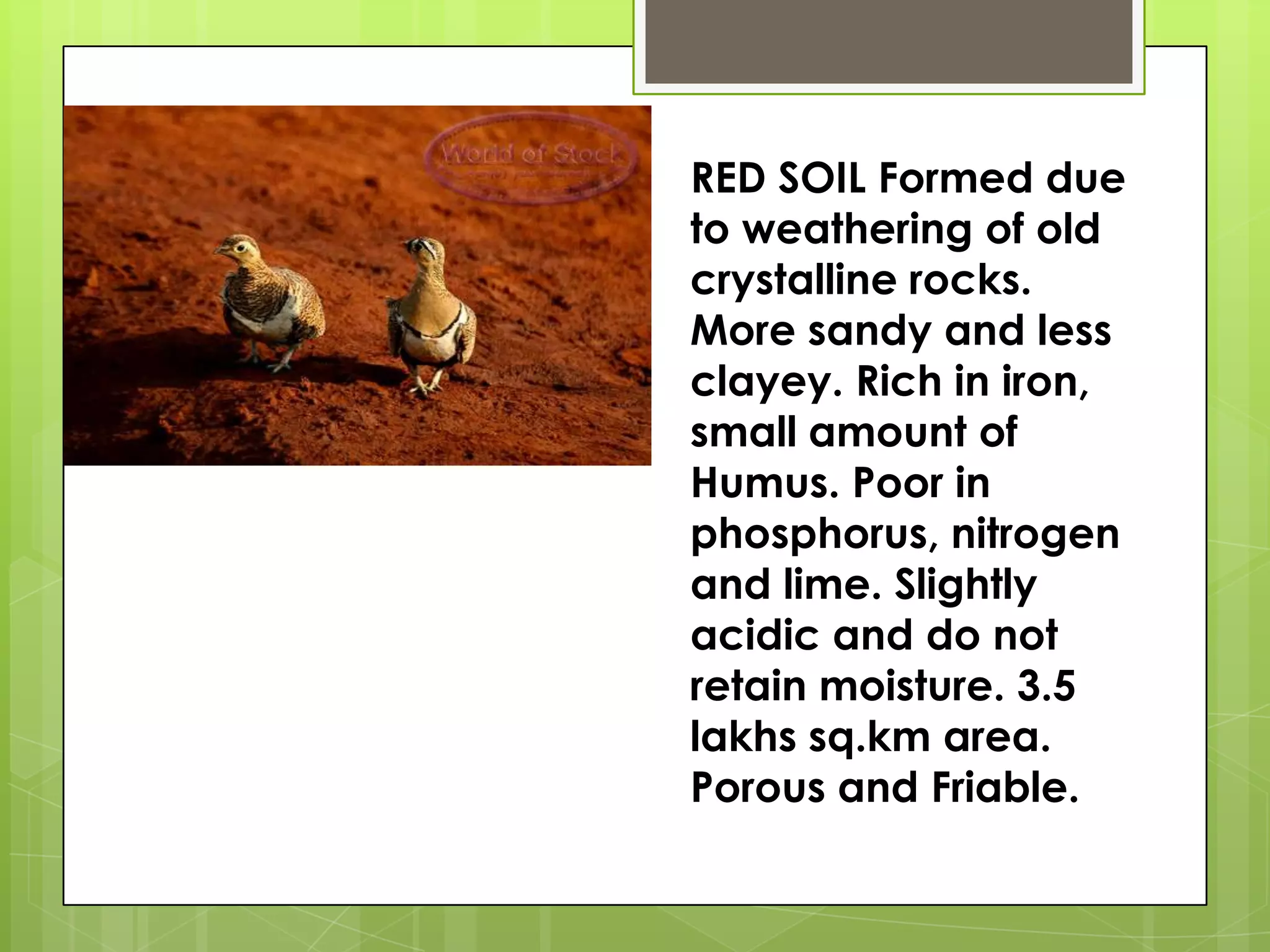 RED SOIL Formed due
to weathering of old
crystalline rocks.
More sandy and less
clayey. Rich in iron,
small amount of
Humus. Poor in
phosphorus, nitrogen
and lime. Slightly
acidic and do not
retain moisture. 3.5
lakhs sq.km area.
Porous and Friable.
 