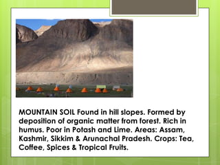 MOUNTAIN SOIL Found in hill slopes. Formed by
deposition of organic matter from forest. Rich in
humus. Poor in Potash and Lime. Areas: Assam,
Kashmir, Sikkim & Arunachal Pradesh. Crops: Tea,
Coffee, Spices & Tropical Fruits.
 