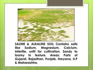 SALINE & ALKALINE SOIL Contains salts
like Sodium, Magnesium, Calcium.
Infertile, unfit for cultivation. Sandy to
loamy in texture. Areas: Parts of
Gujarat, Rajasthan, Punjab, Haryana, U.P
& Maharashtra.
 